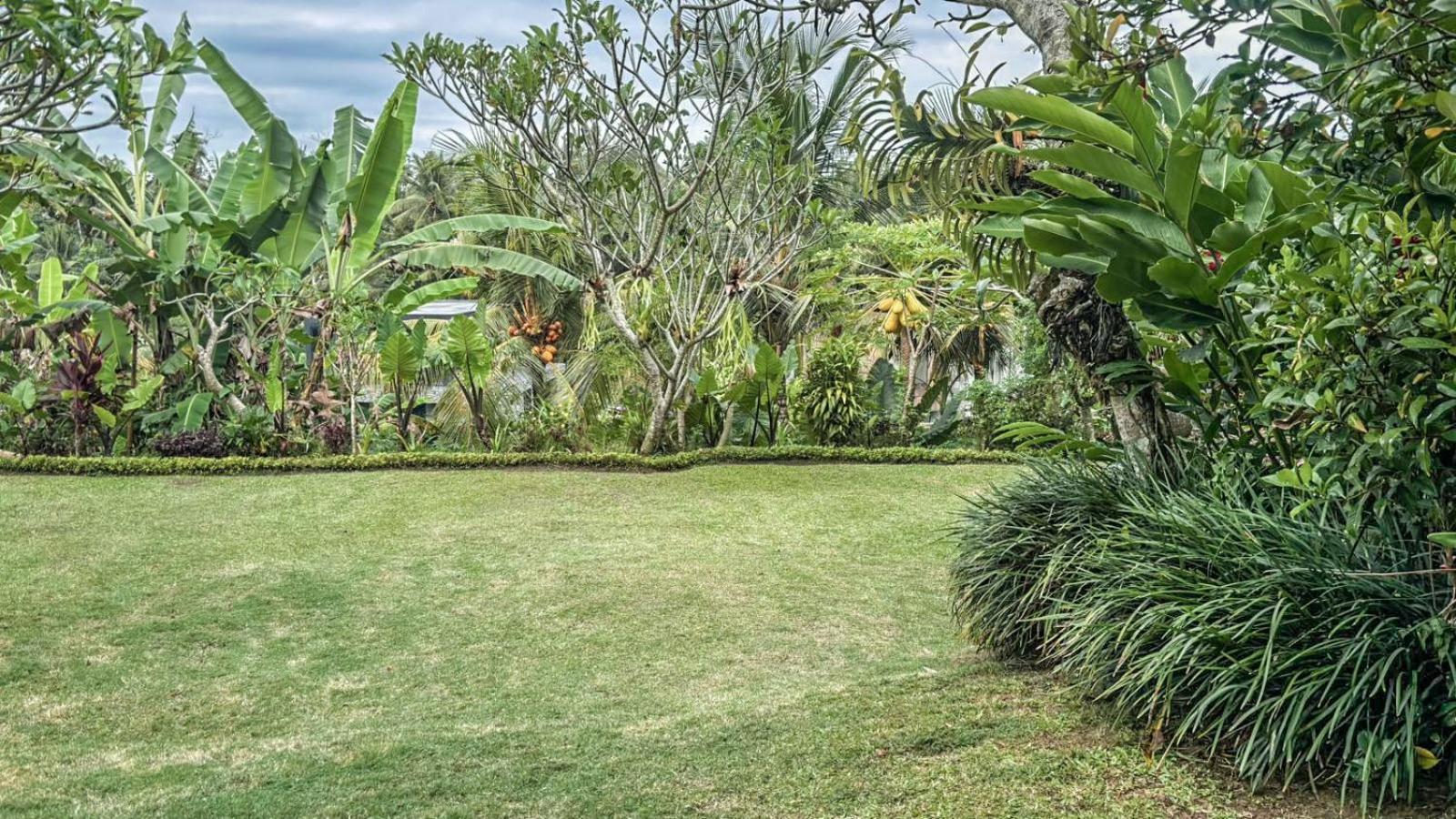 Dlobong Suite Ubud Eksteriør bilde