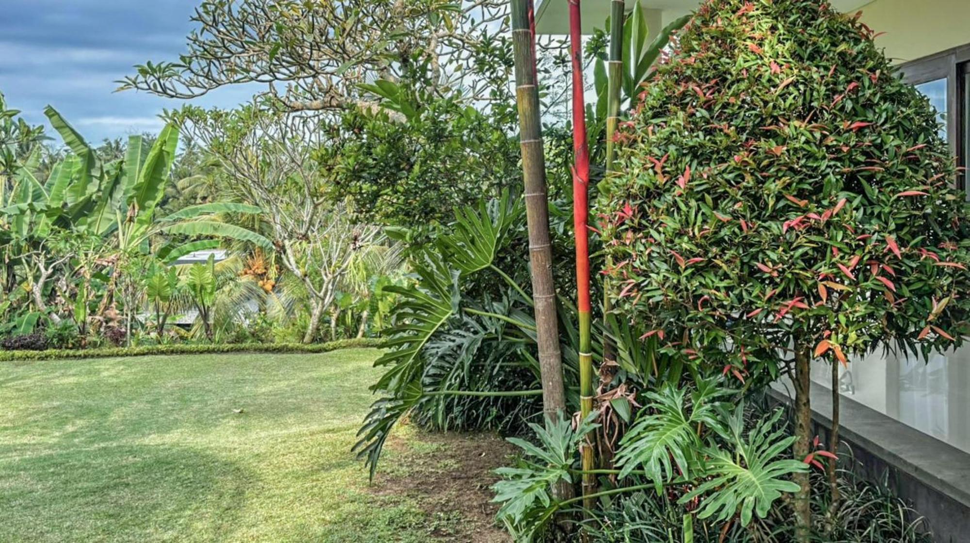 Dlobong Suite Ubud Eksteriør bilde